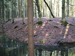 Kasselsburg. Graben unterhalb des Hauptburgplateaus. Foto: J. Friedhoff (2007)