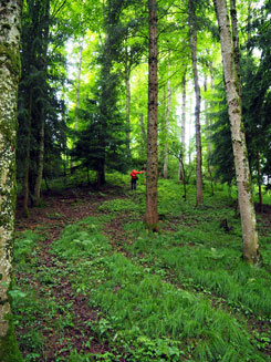 Ki�legg Zaisenhofen; Ansicht des Burgh�gels von Osten; Foto: Christoph Engels (2025).