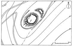 Plan des Burgstalls bei den Burg�ckern (aus Heine 1979, Abb. 53)