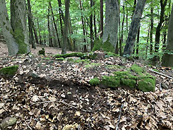 Mauerrest der Befestigung, Foto: S. Wagner 2025