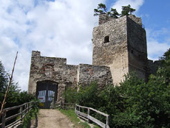 Dobra: Torfront und sdliche Bergfried von Sden. Foto: Thomas Khtreiber (2004).