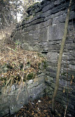 Eckhardstein: Innenansicht des Westberings und Maueranschluss eines randstndigen Gebudes. Foto: Thomas Khtreiber (1996).