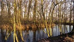 Lievendaal omgracht terrein; foto: Hageman (1988)