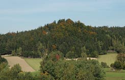 Ansicht des Burgberges von Sden. Foto: Thomas Khtreiber (2007).