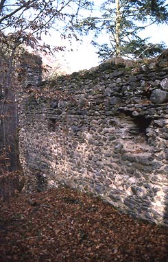 Innenansicht der talseitigen Mauer. Foto: Thomas Zoder (1999).