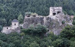 Ansicht der Burg von Nordosten. Foto: Thomas Zoder (1999).