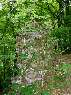 Densberg, Ringmauerrest, Foto: Friedhoff