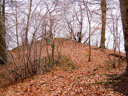 Pfalzgrafenburg, Gesamtansicht; Foto: B. Rehbein (2006)