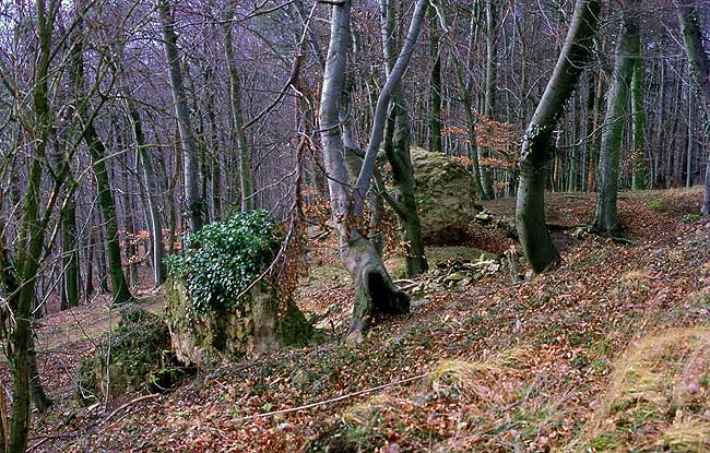 Blick auf die Trümmer des Bergfrieds (Foto T.St. 2007)