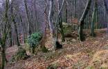 Blick auf die Trümmer des Bergfrieds (Foto T.St. 2007)