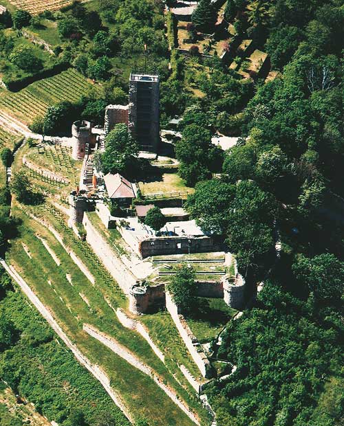 Burgruine Wachtenburg, Luftaufnahme von Osten, 2007 (Aufnahme: Manfred Czerwinski, Institut für pfälzische Geschichte und Volkskunde)