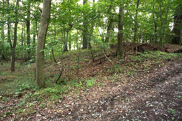 Obensburg, die Befestigung im Osten. Foto Eismann 2015