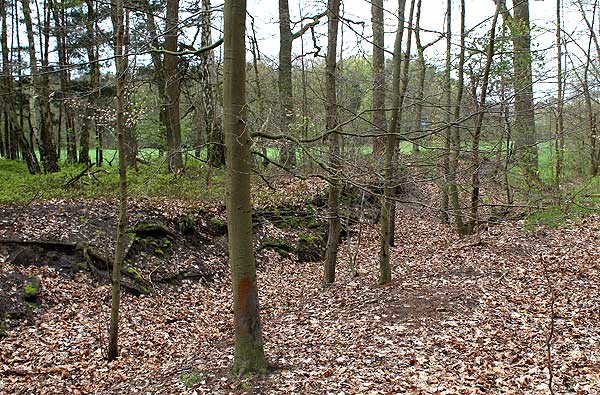 Ansicht des Entwässerungsgraben, welcher durch die Motte führt von O. Foto Sandy Bieler (2017)