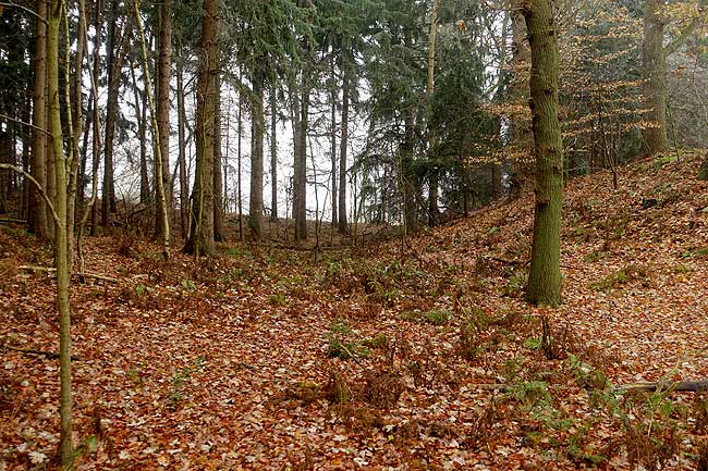 Der Innenraum zwischen den Wällen (Foto Eismann 2016)