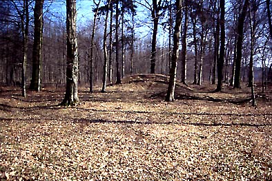 Die Motte im Hochwald (H. Wagner 3.3.2004).