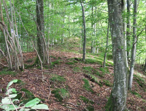 Die Burgstelle von der Bergseite, von Westen. (H. Wagner 2010)