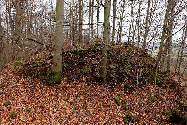 Blick auf den Burghügel (Foto Eismann 2020)