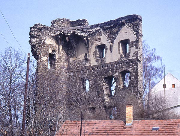 Pohled na zachovanou čst palce. Stav před destrukc zbytků kleneb - Blick auf erhaltenen Palasfragment. Zustand vor der Gewölberestdestruktion