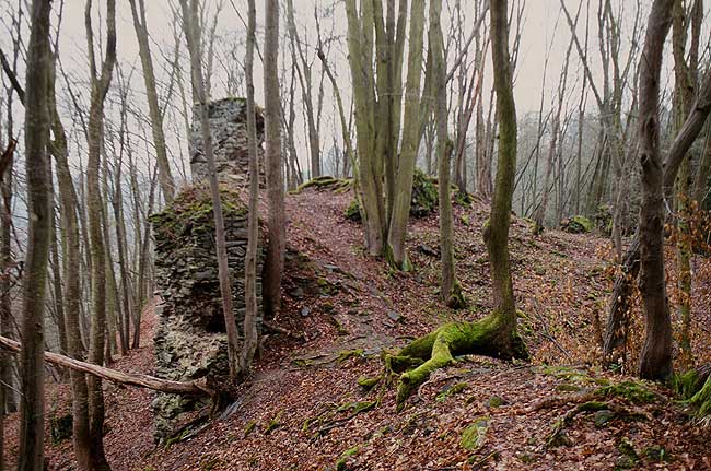 Zbytky druh brny a kaple v jdře hradu.  Überreste des zweiten Tores und der Kapelle im Burgkern. Foto T. Durdk