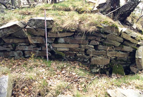 Hausegg, Außenansicht der feldseitigen Turmfront. Foto: Gerhard Reichhalter (1999).