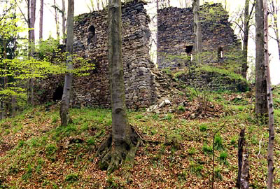 Rundersburg: Kapellenreste von Süden. Foto: Gerhard Reichhalter (2000)