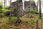 Rundersburg: Kapellenreste von Süden. Foto: Gerhard Reichhalter (2000)