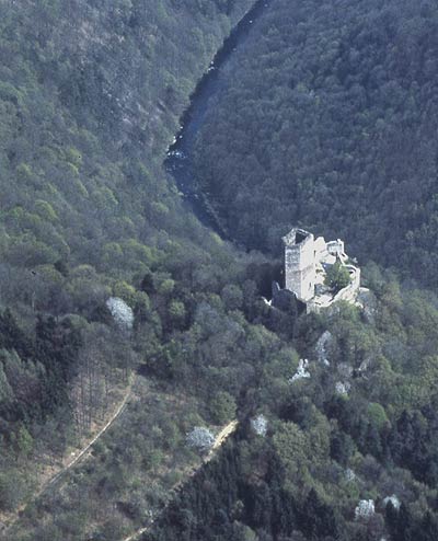 Schauenstein: Luftbild der Burg von Südwesten. Foto: Luftbildarchiv des Insituts für Ur- und Frühgeschichte, Universität Wien (2001)
