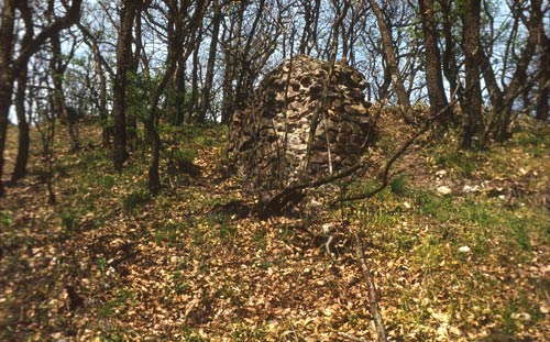 Stützpfeiler der Burg Zuvr bei Ipolydamsd, Foto: Zsuzsa Mikls (1983