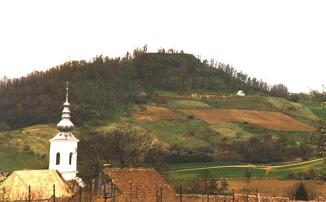 Vralja-Vrfő.  Der Burgberg von Norden, 1998. (Foto: Zsuzsa Mikls)