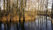 Lievendaal omgracht terrein; foto: Hageman (1988)