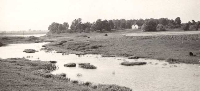 Gesamtansicht der Burgstätte von Süden, Foto: Andris Caune (1957)